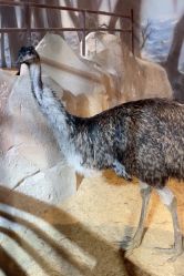 -酷嗒动物文化乐园(cutezoo西溪乐天城店)