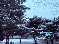 -元大都城垣遗址公园