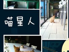 -南京夫子庙国际青年旅舍(平江府路店)