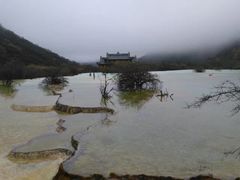 -黄龙山原始森林景区