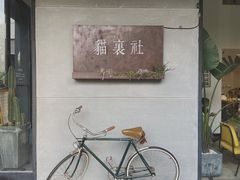 -猫里有甜