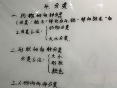 -小问号·科学启蒙·逻辑思维·阅读素养·口才演讲(杨浦合生汇中心)