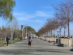 -伊犁河景区