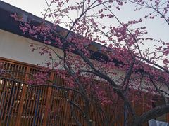 -嘉北郊野公园
