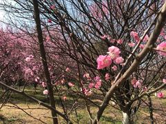 -太湖湖滨国家湿地公园-停车场