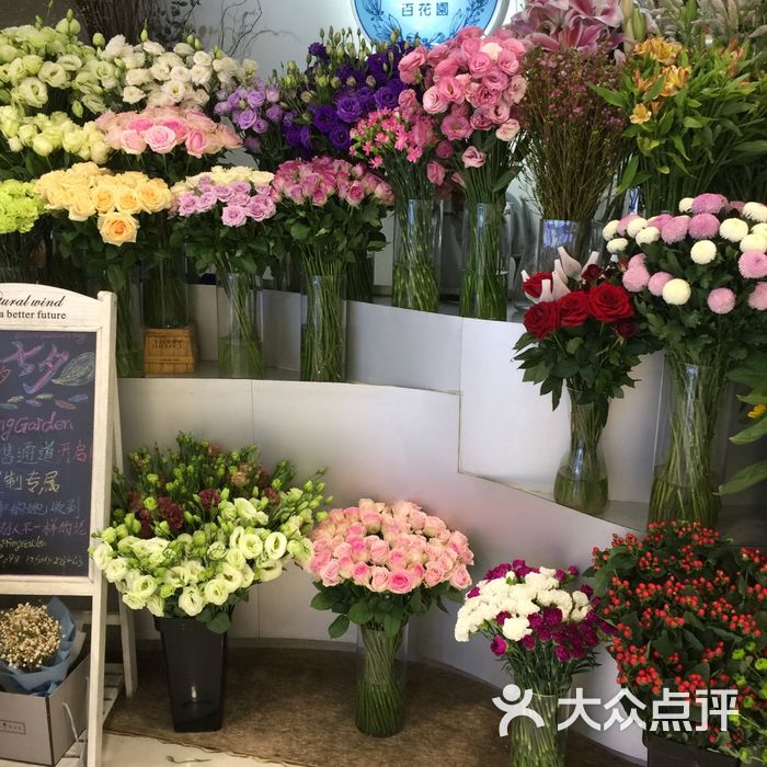 springgarden百花园图片-北京花店-大众点评网