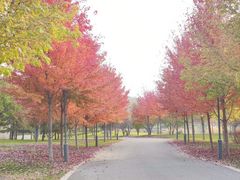 -北京宽沟会议中心