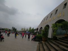 -自贡恐龙博物馆