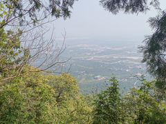 -鹫峰国家森林公园