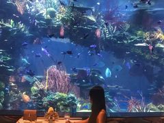 -迪拜帆船酒店海底餐厅