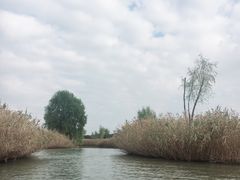 -溱湖国家湿地公园