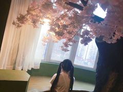 -猫猫幼稚园·撸猫·桌游·电玩