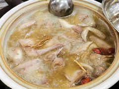 -鸽鸟轩(石岐店)
