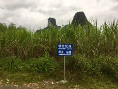 -明仕田园