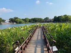 -尚湖风景区