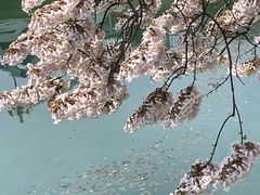 -红星桥(地铁站)