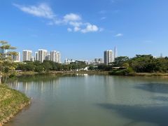 -福田红树林生态公园