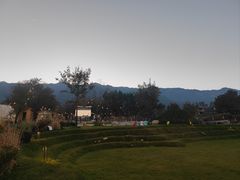 -云禾壹海景庄园餐厅
