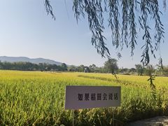 -长兴太湖图影湿地文化园