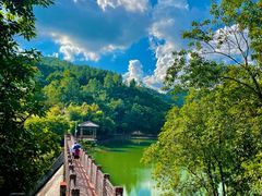 -广州白江湖森林公园