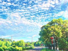 -郑和公园
