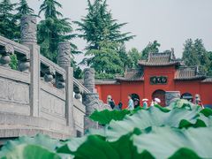 -洛阳白马寺