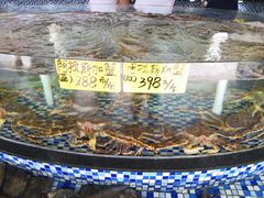 -顺德了能馆(虎门店)