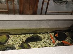 -四季厨房 鲁菜·孔府烤鸭(高新万达店)