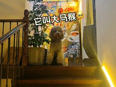 -沏点Trattoria意大利餐厅(新街口店)
