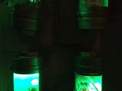 -秃鹫湾·推理大师沉浸式实景演绎推理剧场