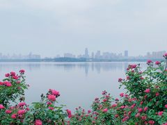 -东湖生态旅游风景区