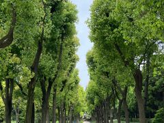 -宋庆龄陵园