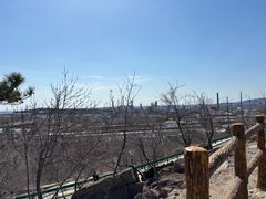 -白水寺森林公园