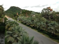 iphone_upload_pic-东芭乐园
