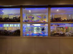 -南海渔村(珠江新城店)