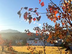 -塔川景区