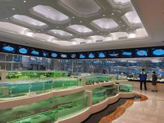 -白金汉爵大酒店-24小时餐厅