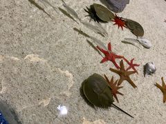 -福州罗源湾海洋世界旅游区