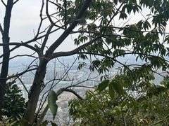 -杭州半山国家森林公园