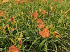 -汉长安城未央宫国家考古遗址公园