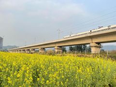 -光明小镇欢乐田园
