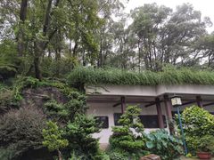 -南山植物园