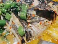 -鱼酷活鱼烤鱼(沈阳大悦城店)