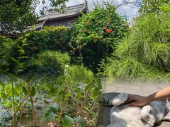 -龙华寺