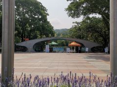 -云溪植物园