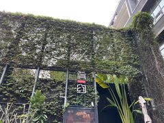 -肴约·花园式餐厅(湖里店)