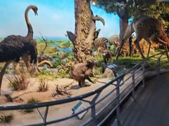 -国家自然博物馆