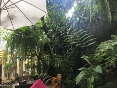 -Fern Forest Cafe