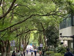 -杭州半山国家森林公园