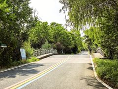 -同里国家湿地公园